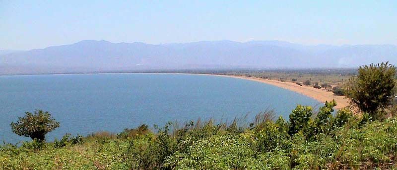 malawisee 