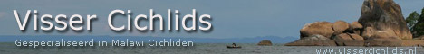 www.vissercichlids.nl